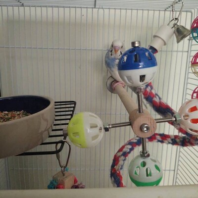 Rotating Wooden Bird Toy With Bell Balls - Interactive Plaything For Budgies, Parakeets, Cockatiels & Parrots