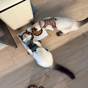Júlia added a photo of their purchase