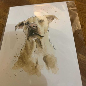 Anais hat ein Foto des gekauften Artikels hinzugefügt