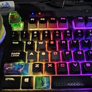 Kaitlyn added a photo of their purchase