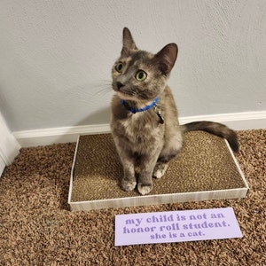 Miranda ha añadido una foto de su compra