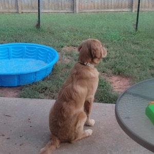 Sam added a photo of their purchase