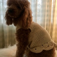 Produktbild von 1 X Stilvolles Hundekleid Für Den Sommer