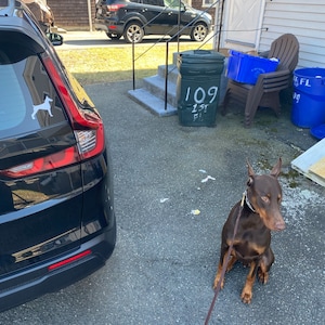 John added a photo of their purchase