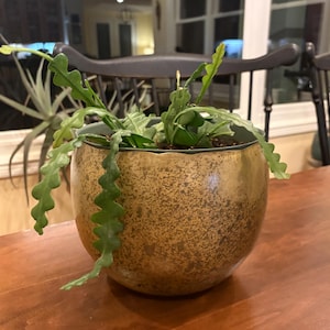 Cathy added a photo of their purchase
