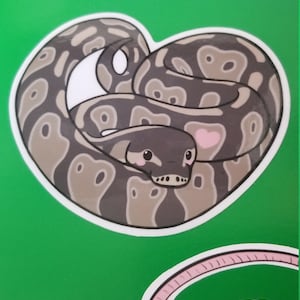 Sydney added a photo of their purchase