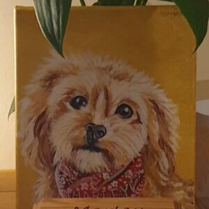 Suzie added a photo of their purchase