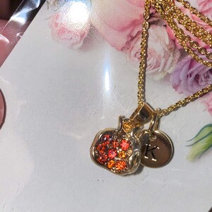 Jessoca さんが購入した商品の写真を追加しました