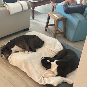 Ann added a photo of their purchase