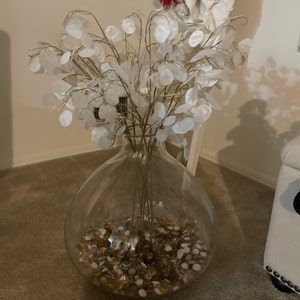 Patti added a photo of their purchase