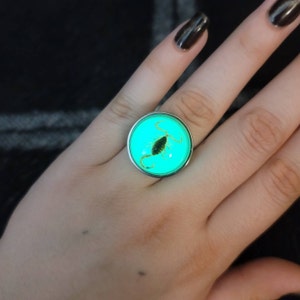 Paige added a photo of their purchase