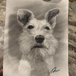 Amber heeft een foto van de aankoop toegevoegd