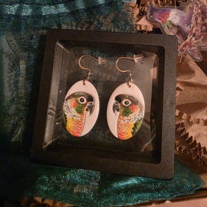 Laura added a photo of their purchase