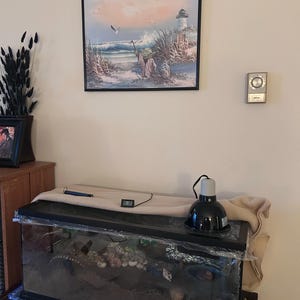 Allison added a photo of their purchase