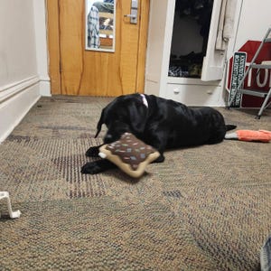 Bella added a photo of their purchase