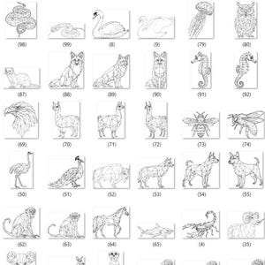 Julu ha añadido una foto de su compra