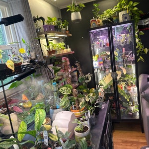 Sara added a photo of their purchase