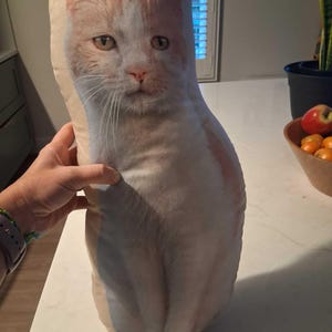Brigette added a photo of their purchase