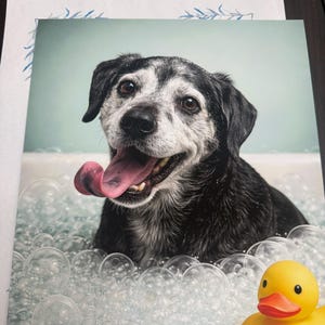 Judy added a photo of their purchase