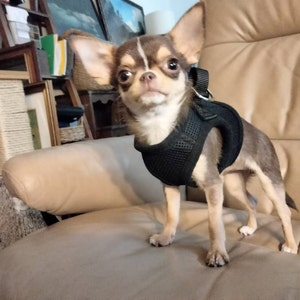 Ashley ha aggiunto una foto del proprio acquisto