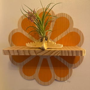 Dale さんが購入した商品の写真を追加しました