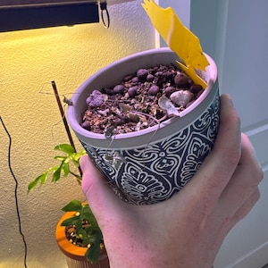 Etsy buyer added a photo of their purchase