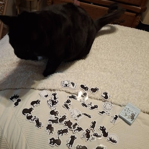 Taija added a photo of their purchase
