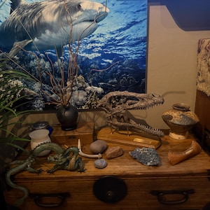 Bodhi added a photo of their purchase