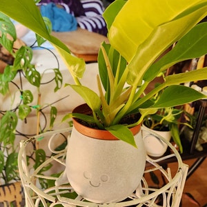 Etsy-Käufer:in hat ein Foto des gekauften Artikels hinzugefügt