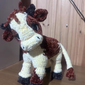 Gislaine added a photo of their purchase