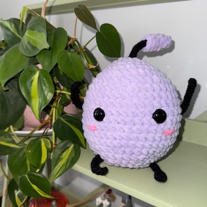 Haley a ajouté une photo de son achat