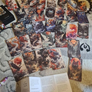 Katharina added a photo of their purchase