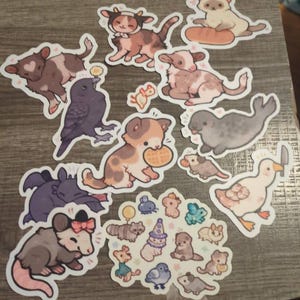 Justine added a photo of their purchase