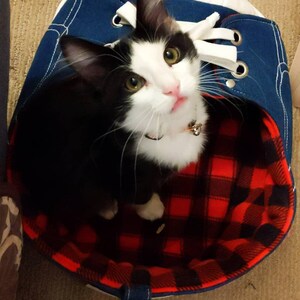 Victoria added a photo of their purchase