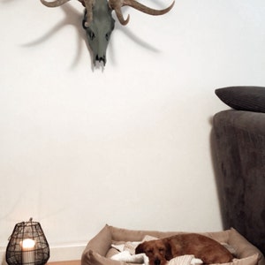 Nora added a photo of their purchase
