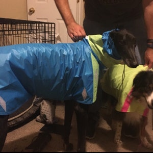 Hound Reflective Raincoat - Etsy