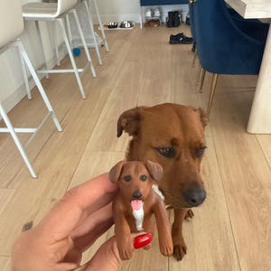 Elyse a ajouté une photo de son achat