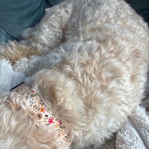 Charlotte added a photo of their purchase
