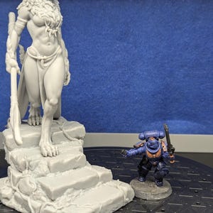 MrFacePoker added a photo of their purchase