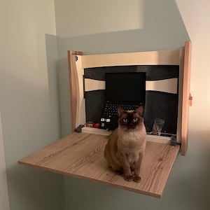 Thomas added a photo of their purchase