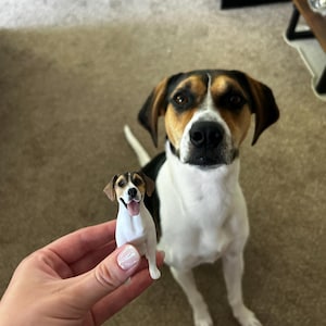 rileydenney adicionaram uma foto da sua compra