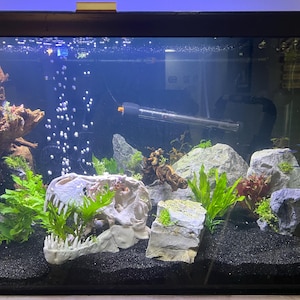 Samantha added a photo of their purchase