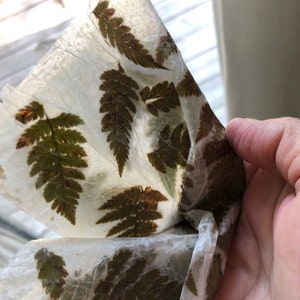 kristine added a photo of their purchase