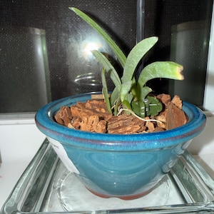 Patricia added a photo of their purchase