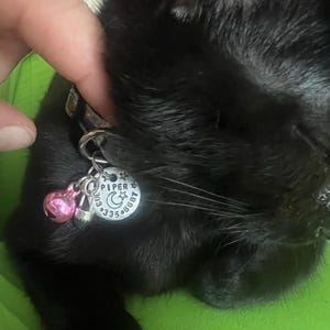 Laura added a photo of their purchase