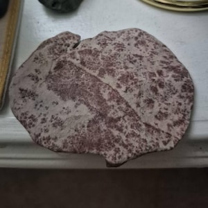 M. added a photo of their purchase
