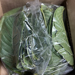 Jaime added a photo of their purchase