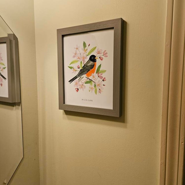 West Virginia State Bird & Flower Postcards - Set Of 20 Identical Cards