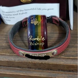 Lacey added a photo of their purchase
