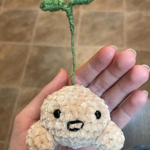 Novelle heeft een foto van zijn/haar aankoop toegevoegd